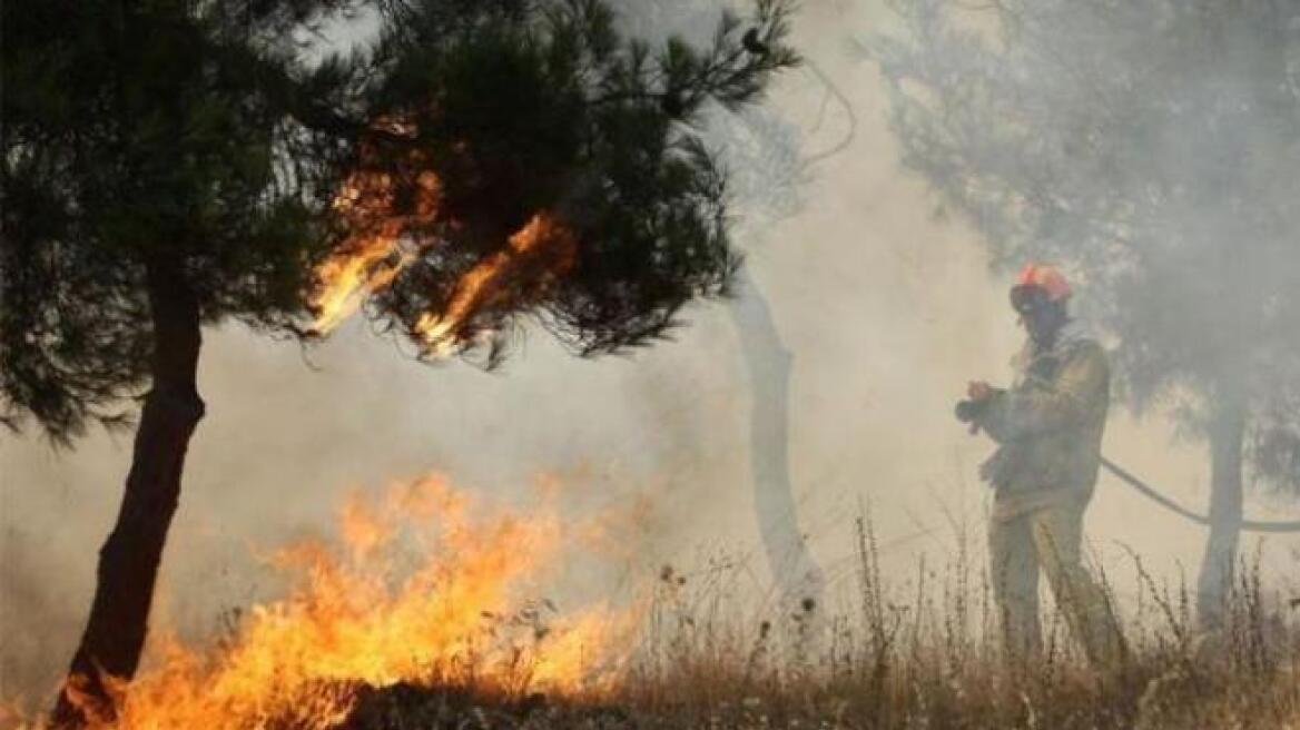 Υπό έλεγχο η φωτιά στην περιοχή Κάλφα Αχαΐας